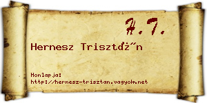 Hernesz Trisztán névjegykártya